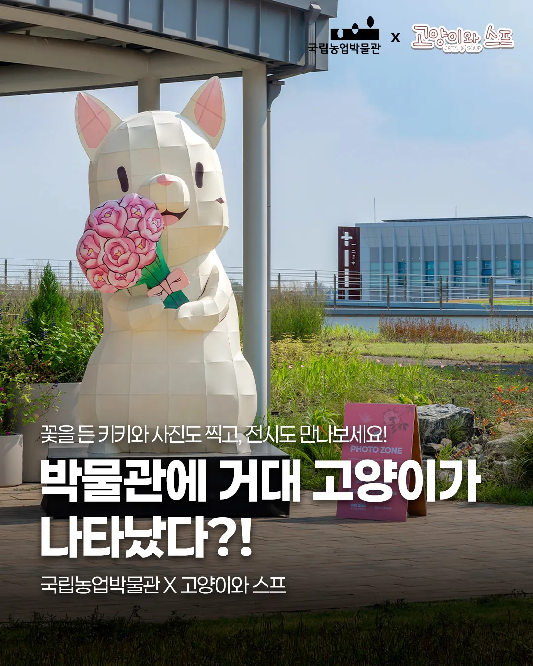 고양이와 스프 18 고양이와 스프 살펴보기 14